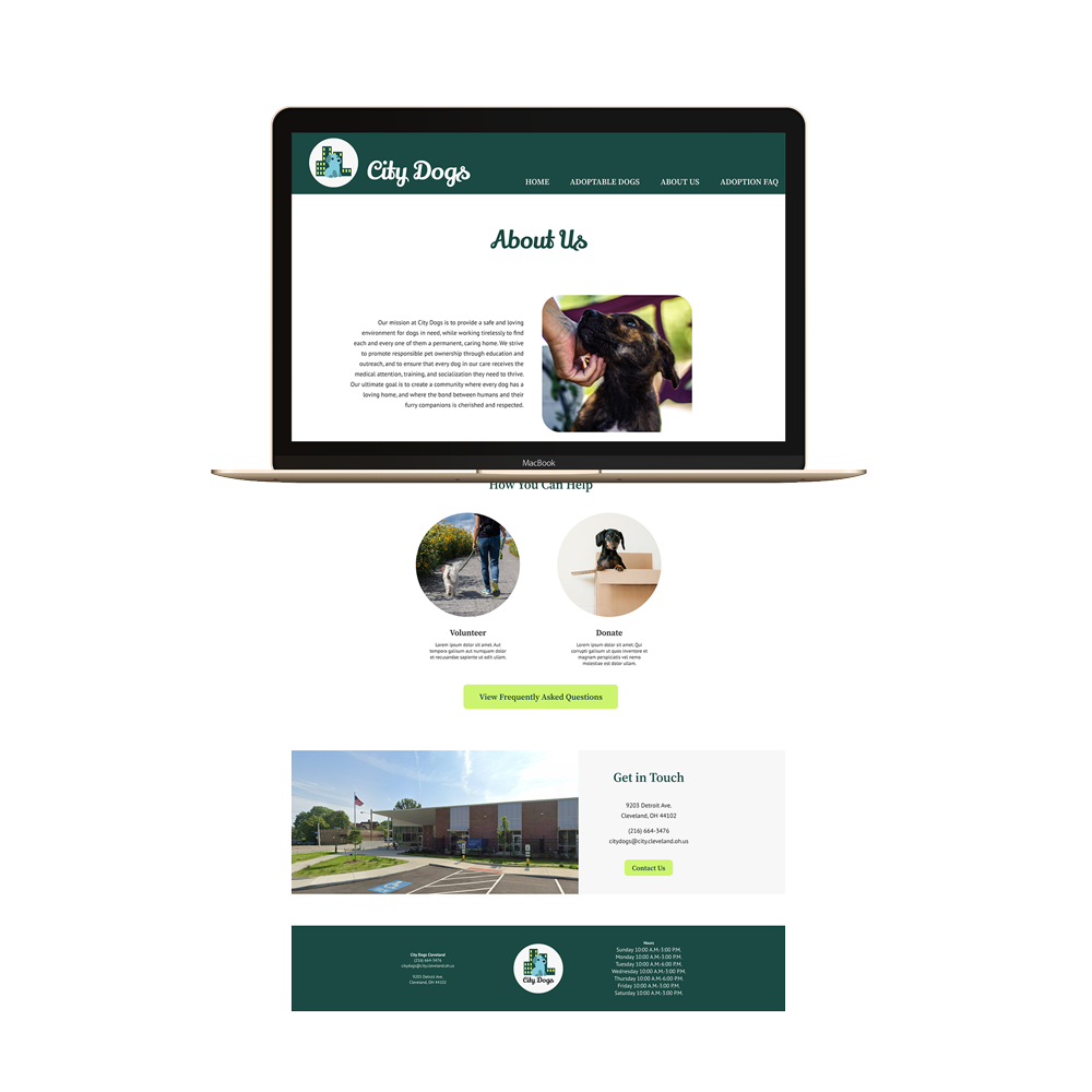 City Dogs Website Redesign project image